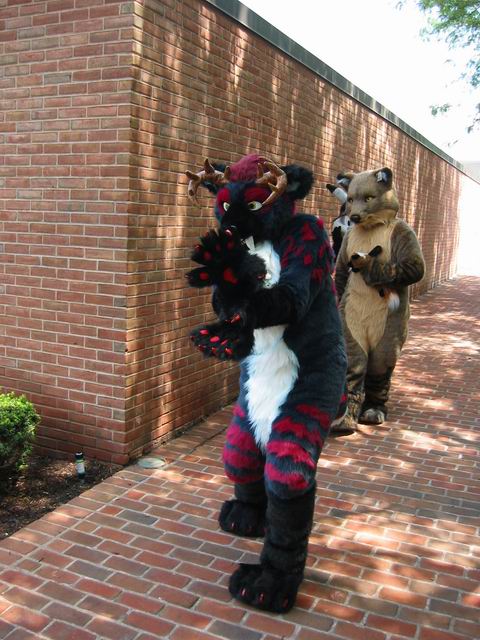 [ac2003_215.jpg thumbnail]