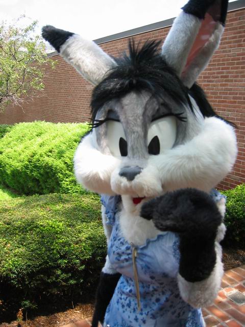 [ac2003_216.jpg thumbnail]