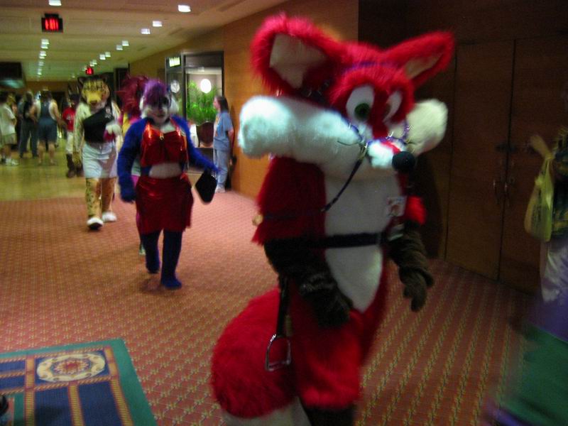 [AC2004_132.jpg thumbnail]