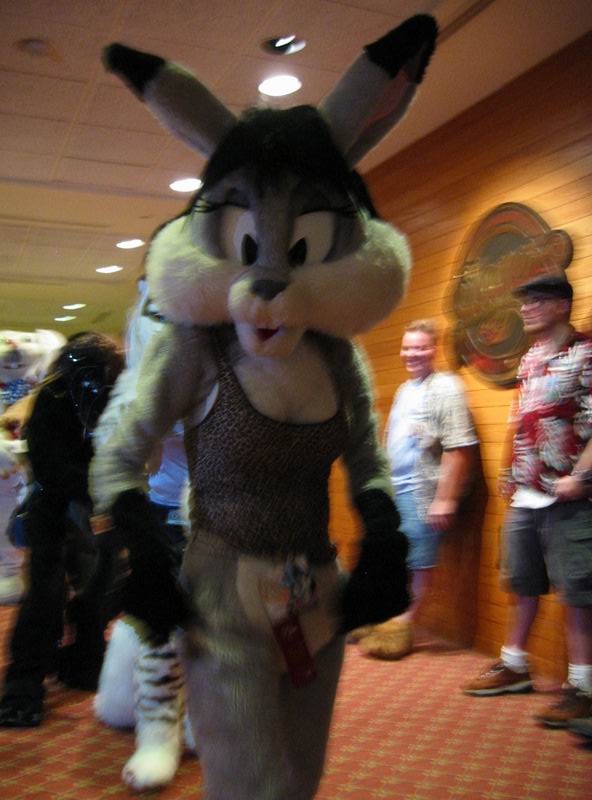 [AC2004_133.jpg thumbnail]