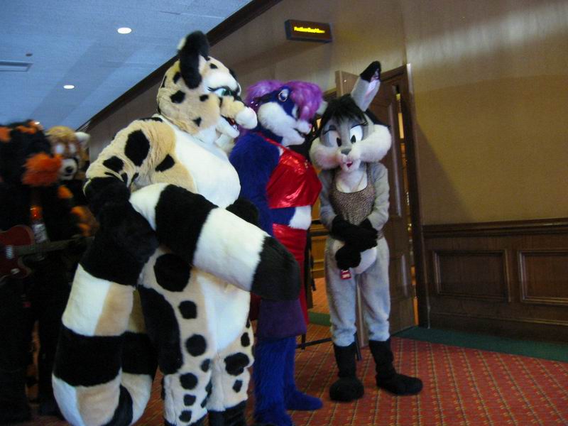 [AC2004_164.jpg thumbnail]