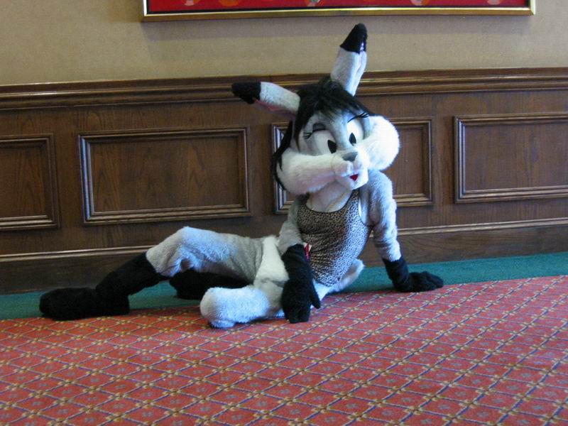 [AC2004_169.jpg thumbnail]