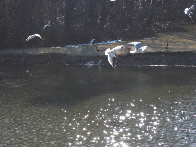 [BabsDad20040228_04.jpg thumbnail]