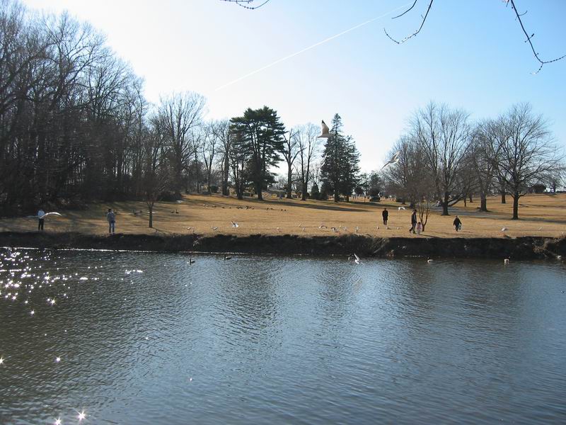 [BabsDad20040228_09.jpg thumbnail]