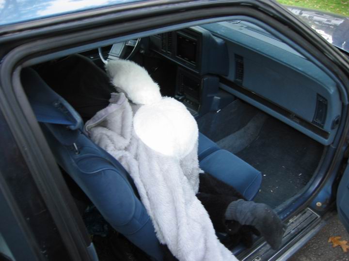 [BooZoo2003_03.jpg thumbnail]