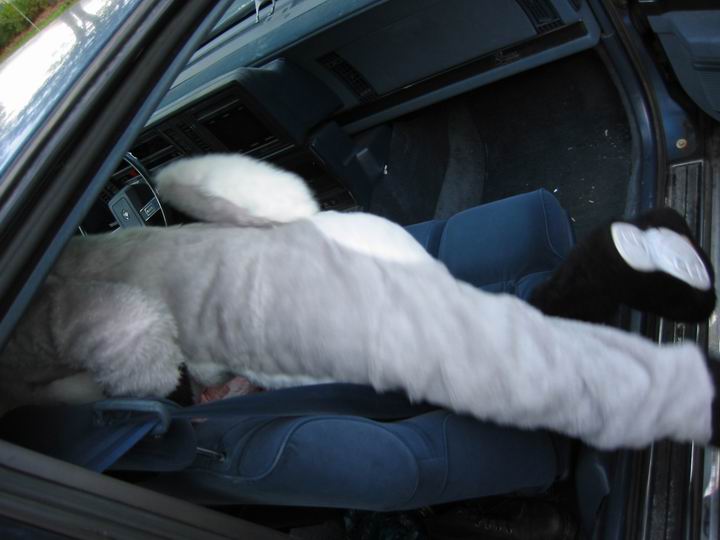 [BooZoo2003_05.jpg thumbnail]