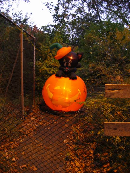 [BooZoo2003_21.jpg thumbnail]