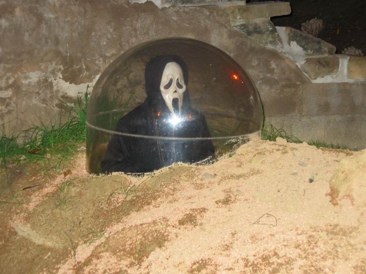 [BooZoo2003_32.jpg thumbnail]