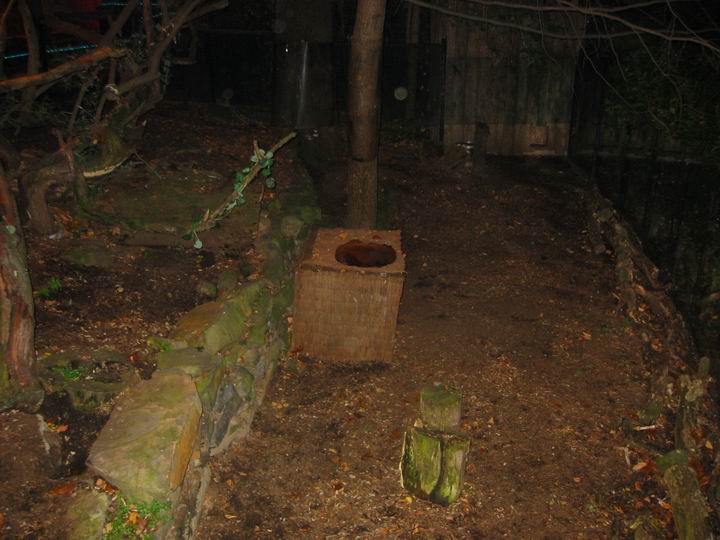 [BooZoo2003_34.jpg thumbnail]