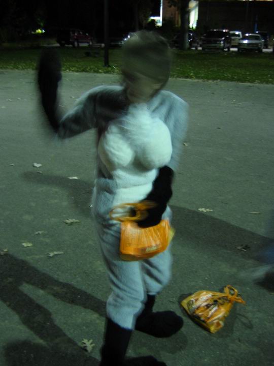 [BooZoo2003_48.jpg thumbnail]