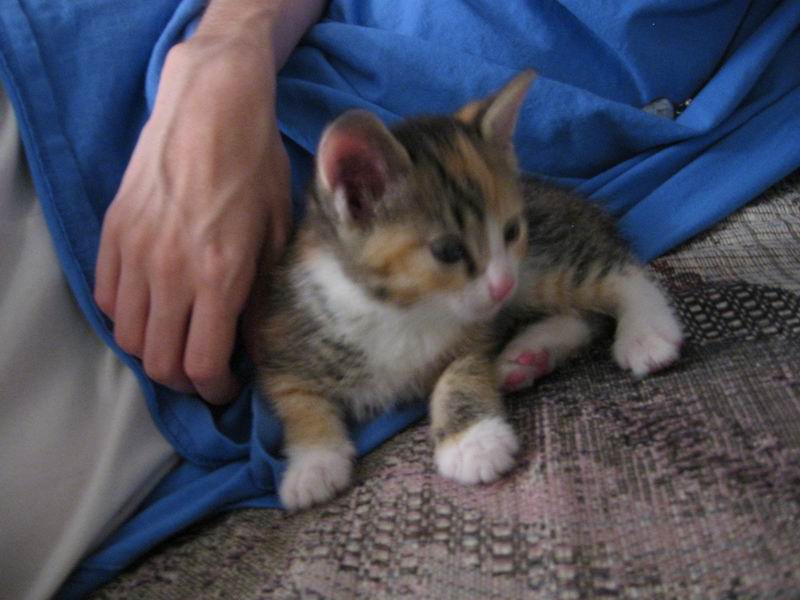 [Deanna08.jpg thumbnail]