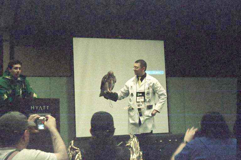 [MFF2002_06.jpg thumbnail]