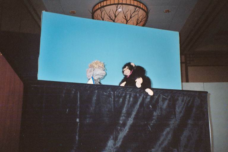 [MFF2002_15.jpg thumbnail]