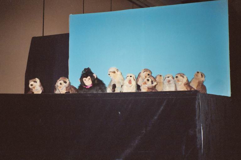 [MFF2002_28.jpg thumbnail]