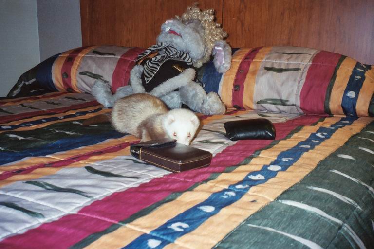 [MFF2002_39.jpg thumbnail]