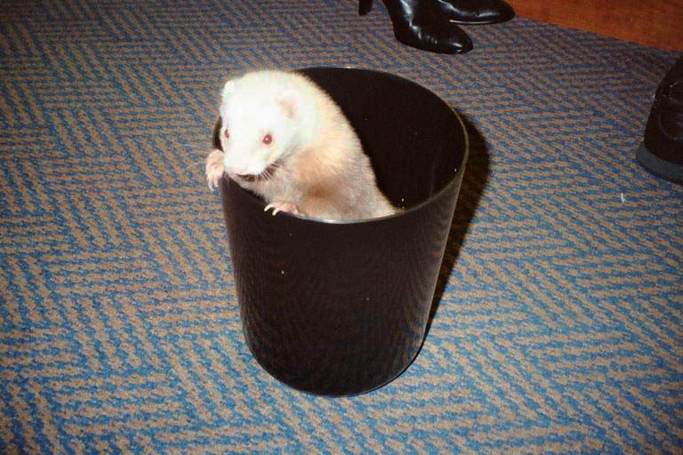 [MFF2002_40.jpg thumbnail]