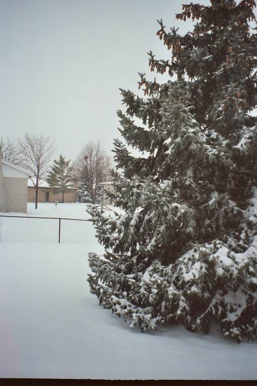 [MFF2002_47.jpg thumbnail]