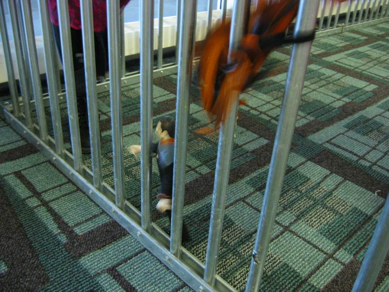 [Marcon2003-30.jpg thumbnail]