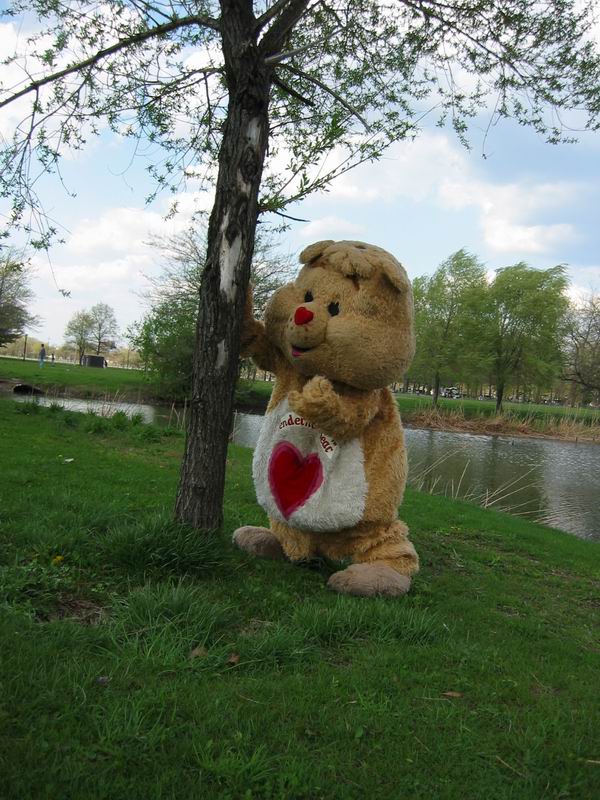 [NY2004_048.jpg thumbnail]