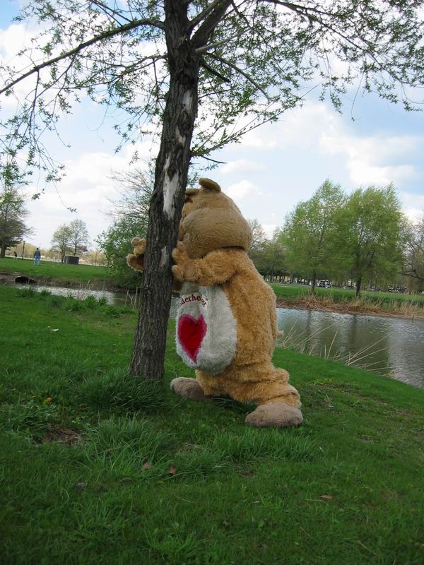 [NY2004_049.jpg thumbnail]