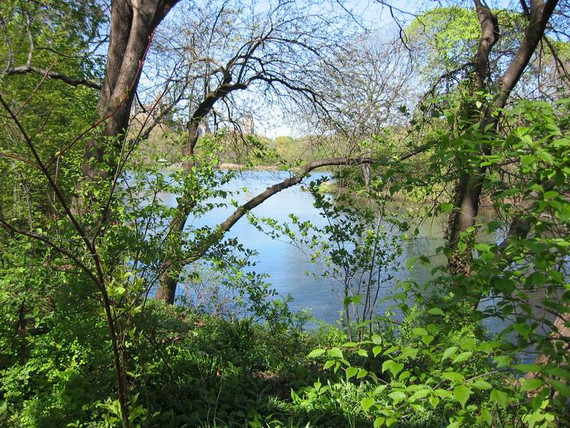 [NY2004_068.jpg thumbnail]