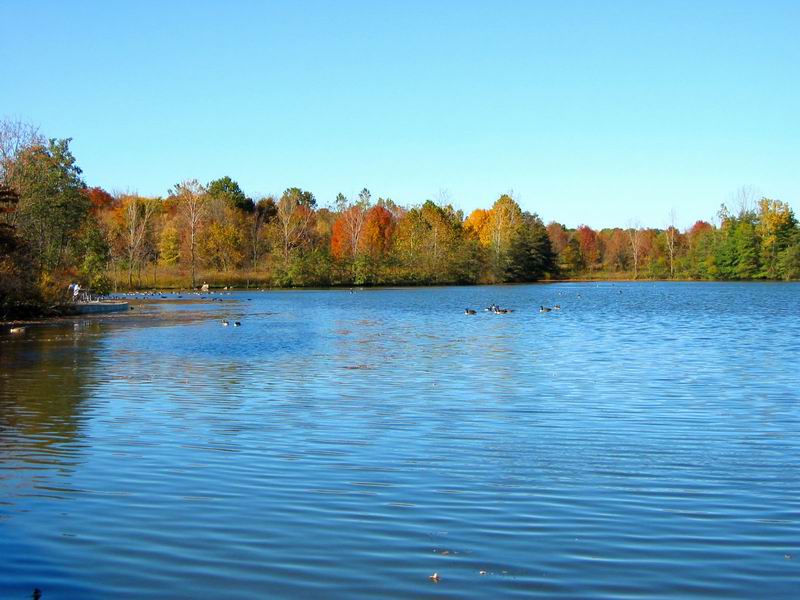 [Park20031012-01.jpg thumbnail]