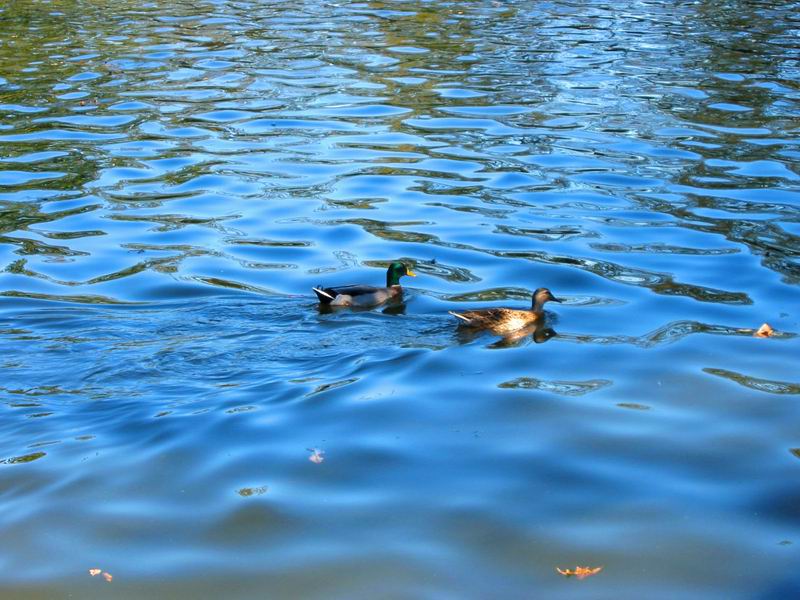 [Park20031012-04.jpg thumbnail]