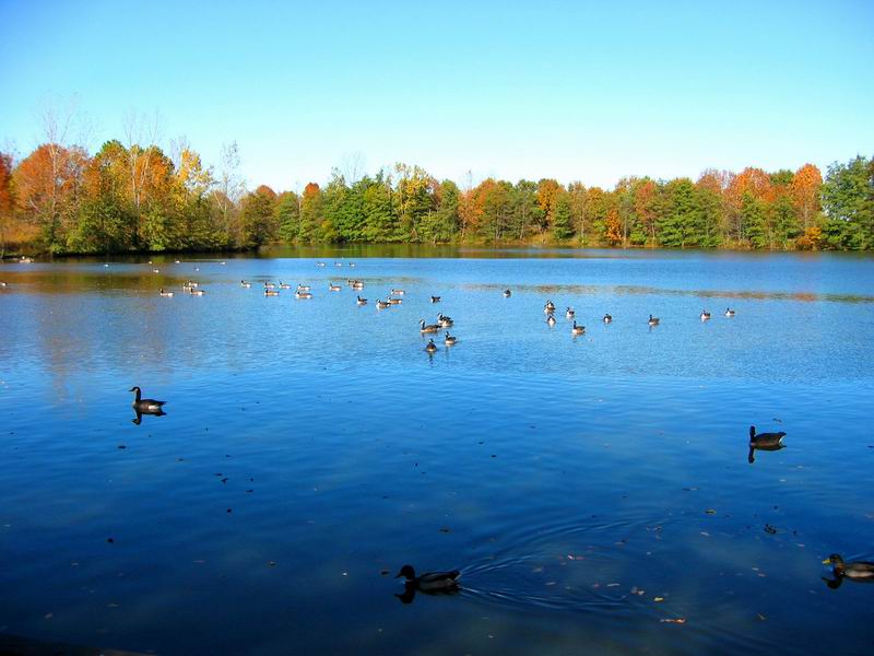 [Park20031012-13.jpg thumbnail]