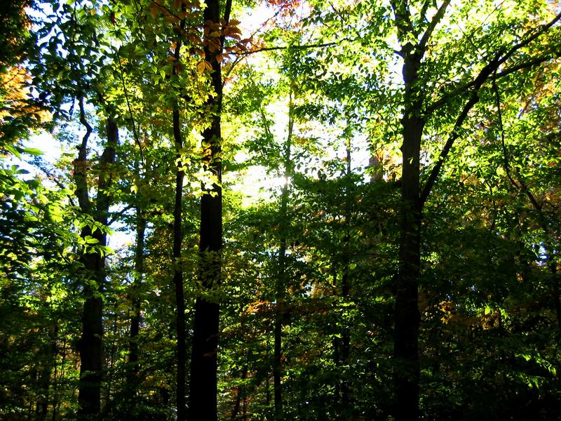 [Park20031012-19.jpg thumbnail]