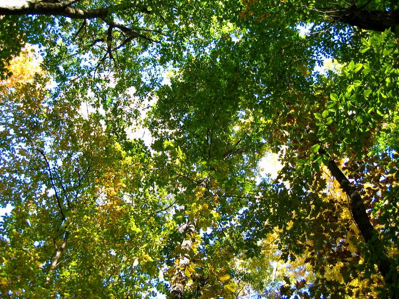 [Park20031012-20.jpg thumbnail]