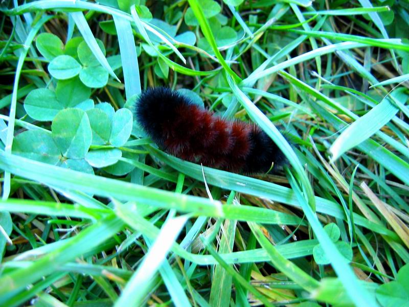 [Park20031012-24.jpg thumbnail]