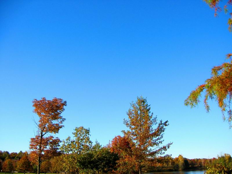 [Park20031012-34.jpg thumbnail]