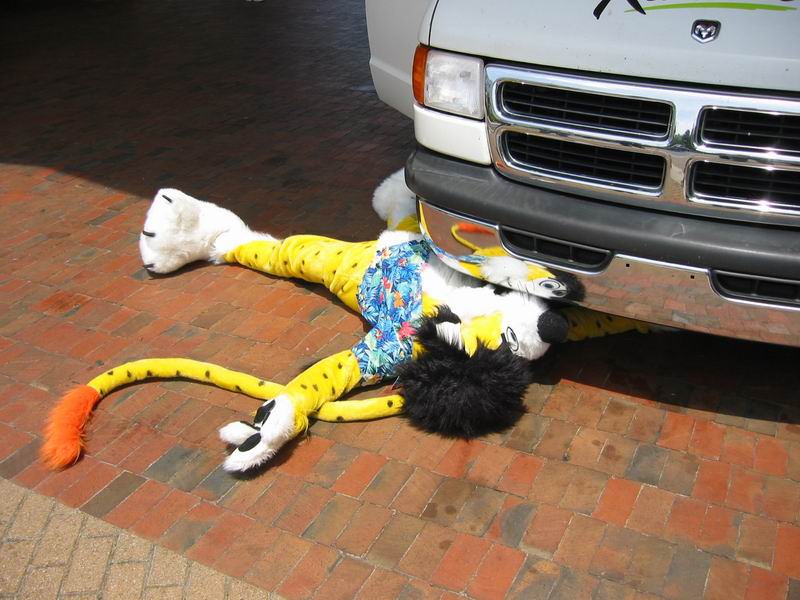 [RCFM2005_089.jpg thumbnail]