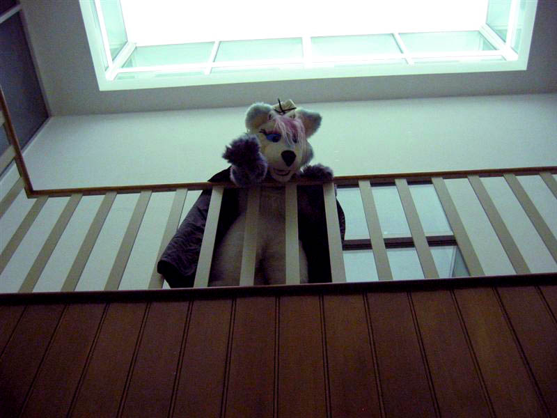 [RCFM2005_178.jpg thumbnail]