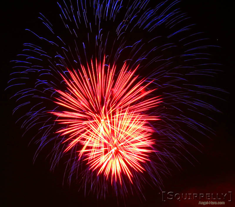 [RWBoom2004_14.jpg thumbnail]